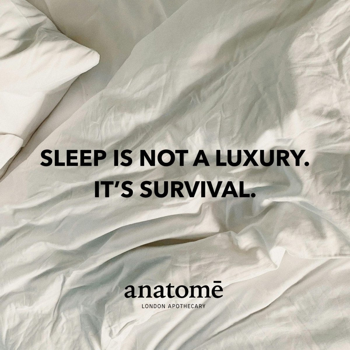 anatomē The Gift of Good Sleep | Somali Frankincense