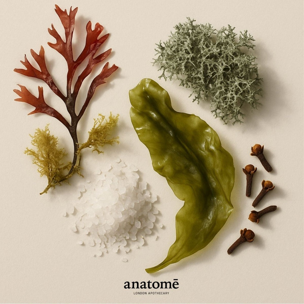 anatomē Expression Functional Parfum
