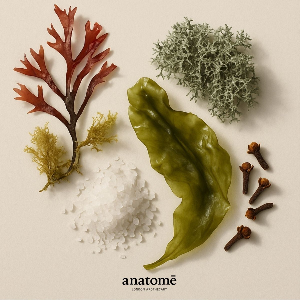 anatomē Expression Functional Parfum