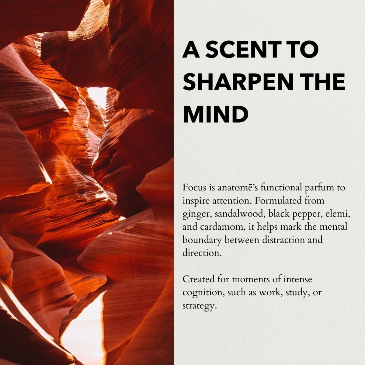 anatomē Focus Functional Parfum