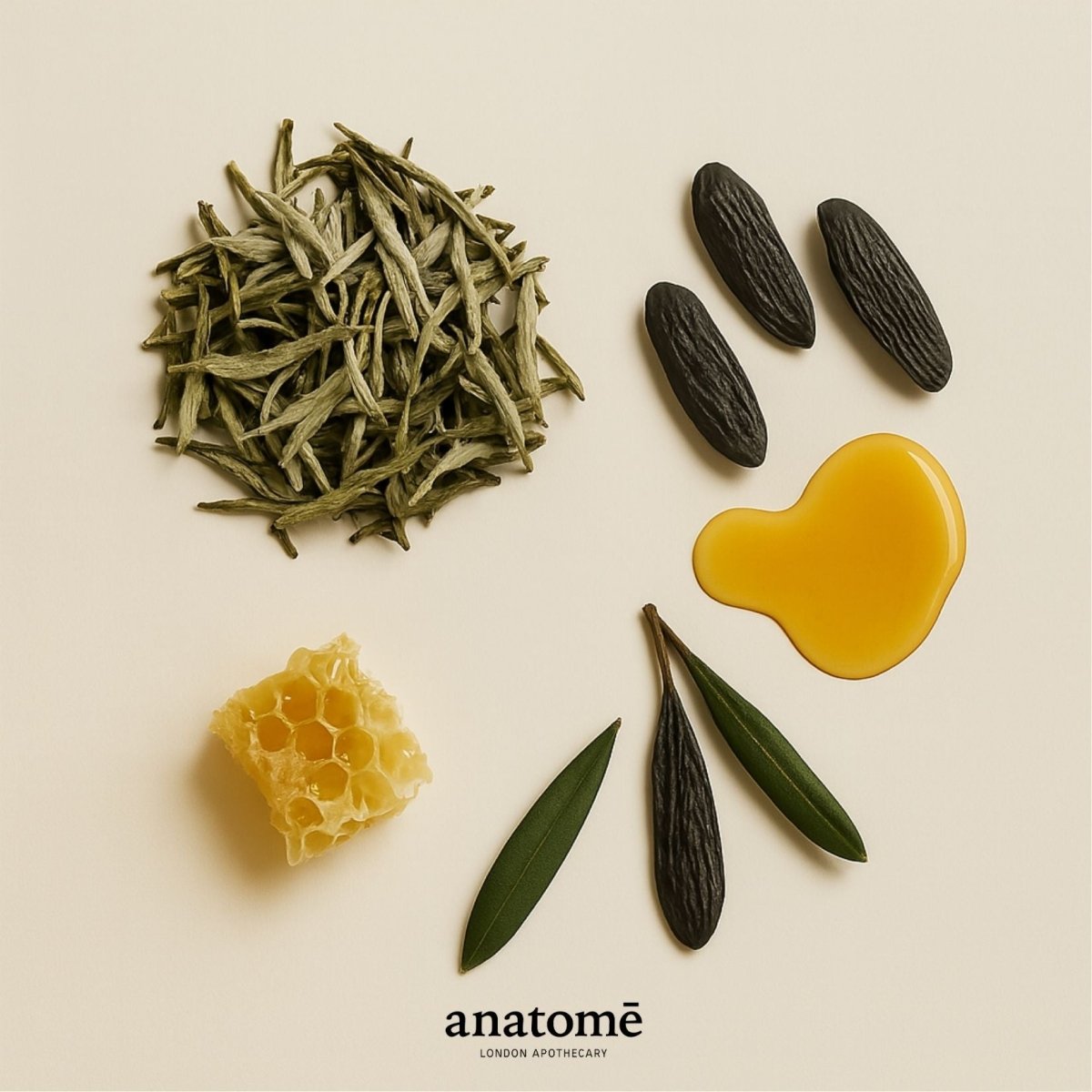 anatomē Order Functional Parfum