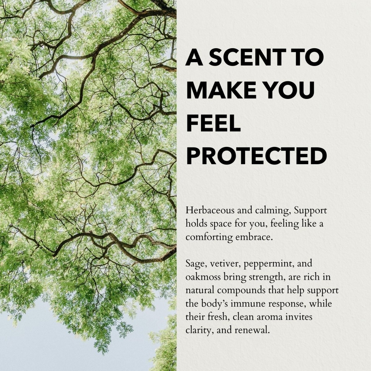 anatomē Support Functional Parfum