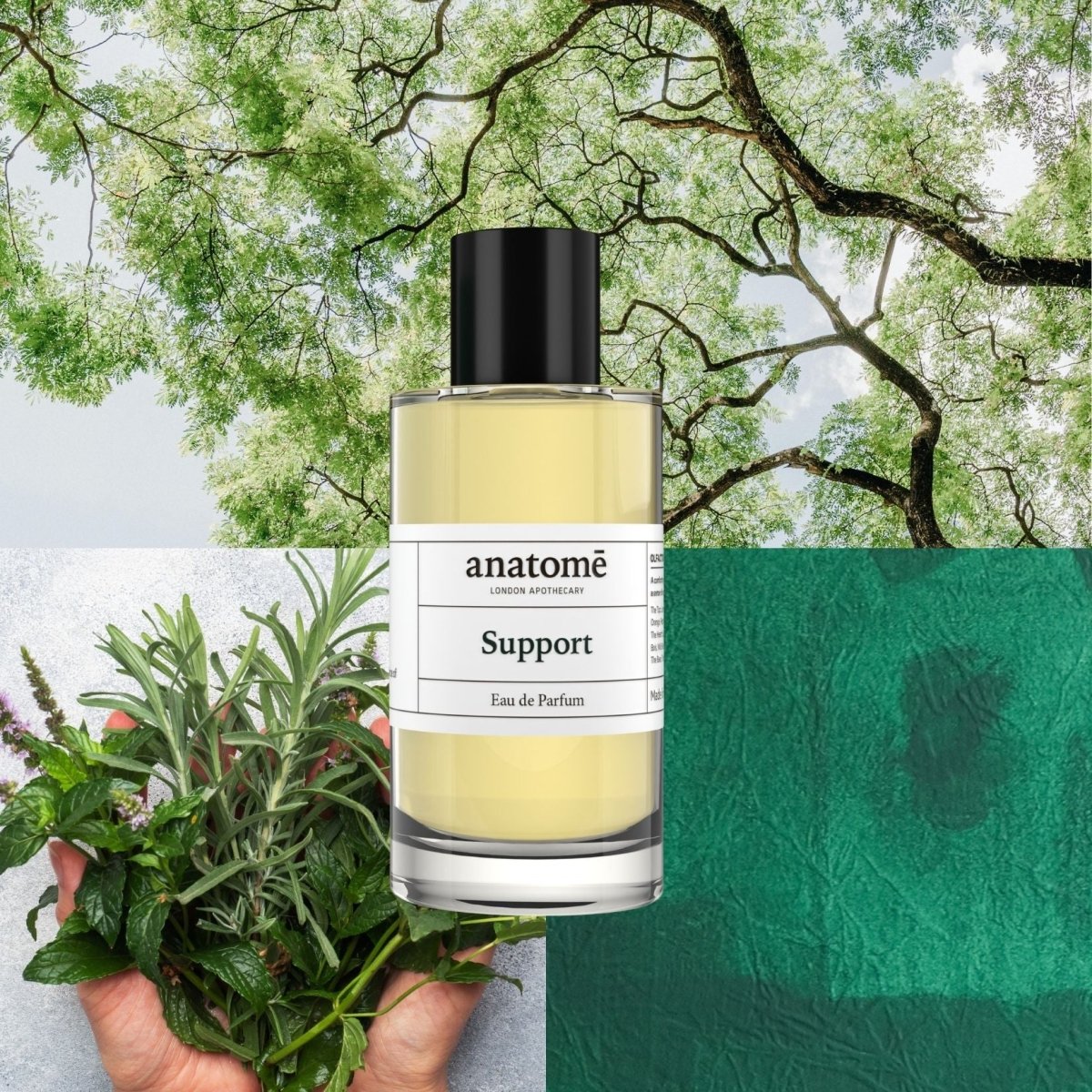 anatomē Support Functional Parfum