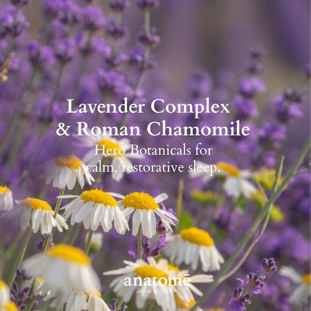 anatomē Restless Mind Sleep Oil | Roman Chamomile